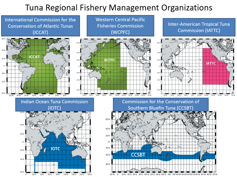 Area of each tuna RFMO